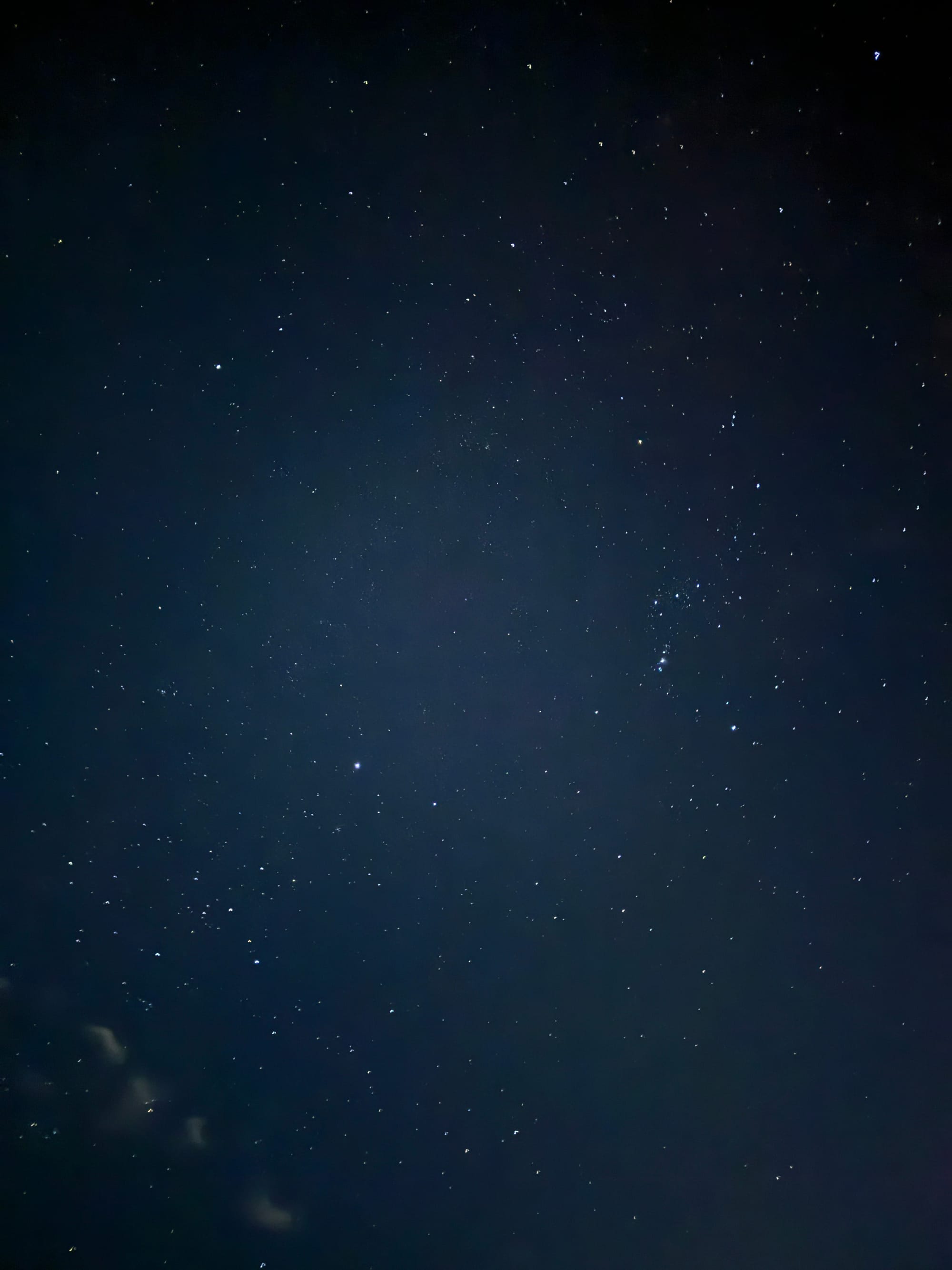 Relaxing on New Year's Day